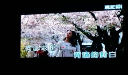 韩国电影短视频片段